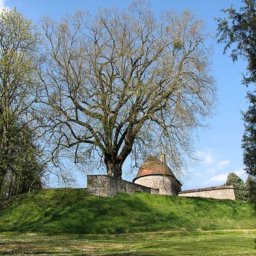 Château Ray-sur-Saône 