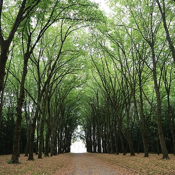 Château Ray-sur-Saône 