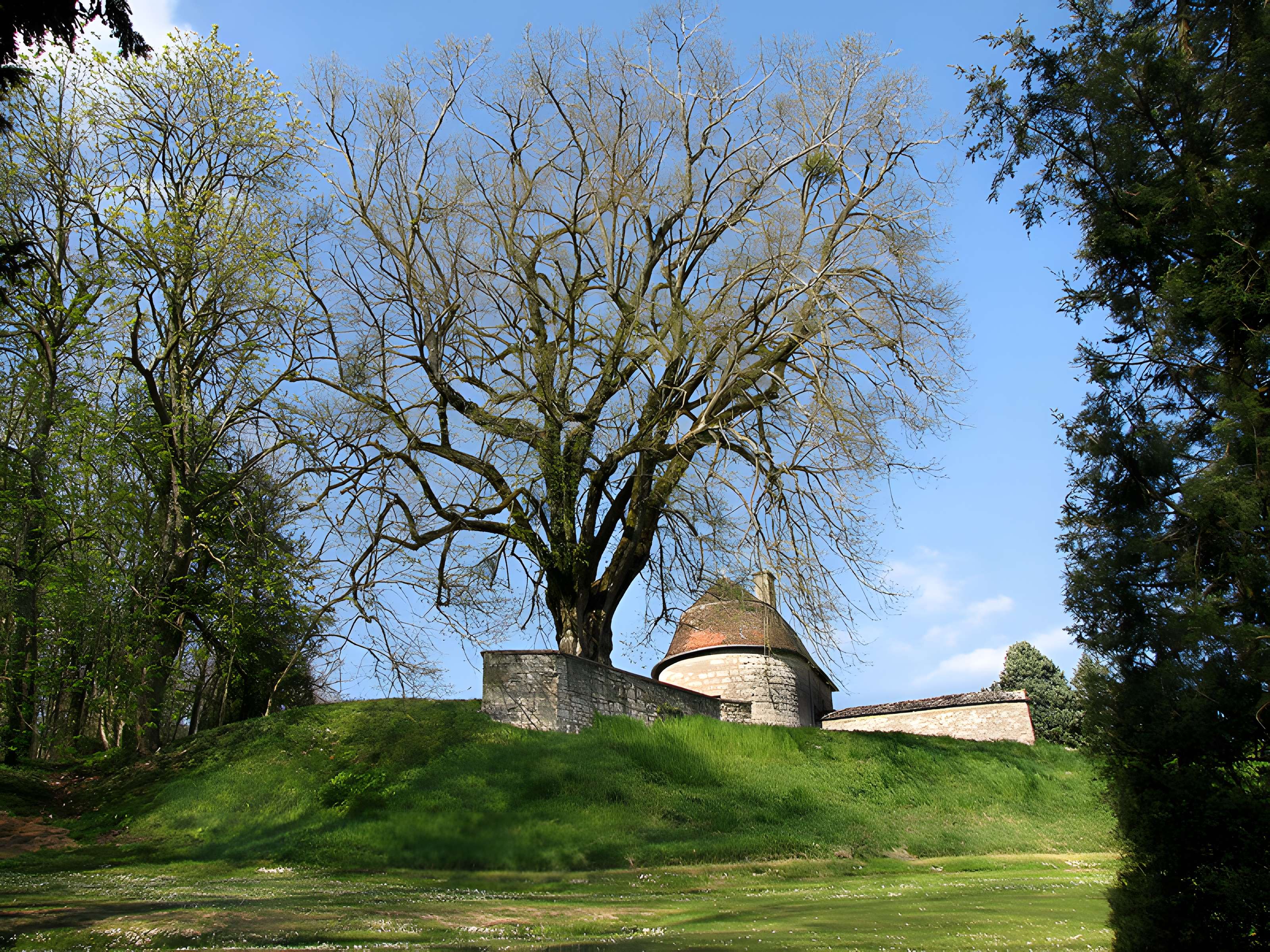 Château Ray-sur-Saône 