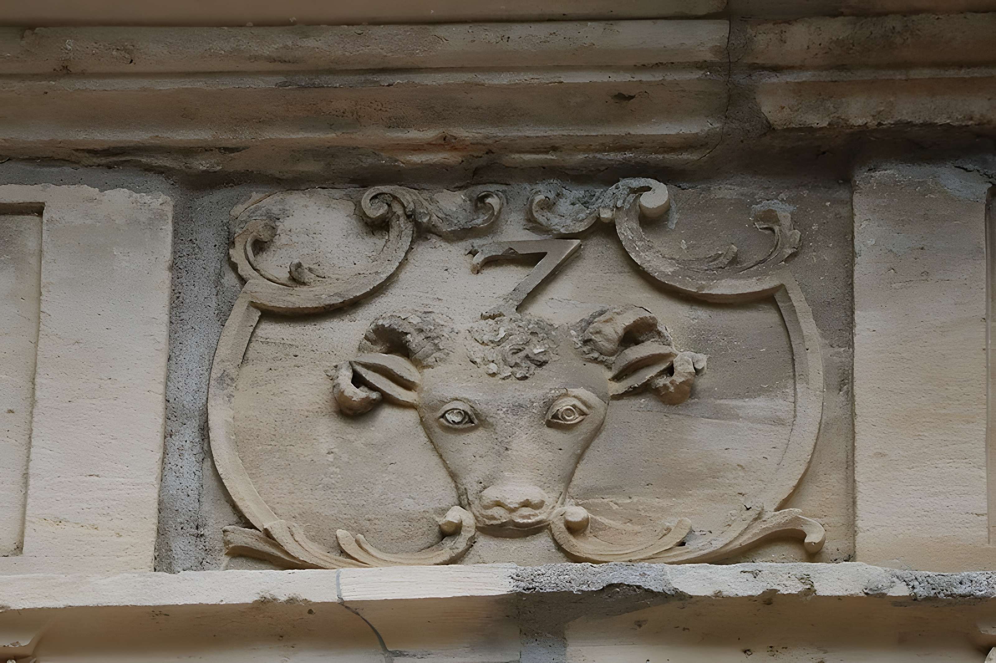 Château Ray-sur-Saône 