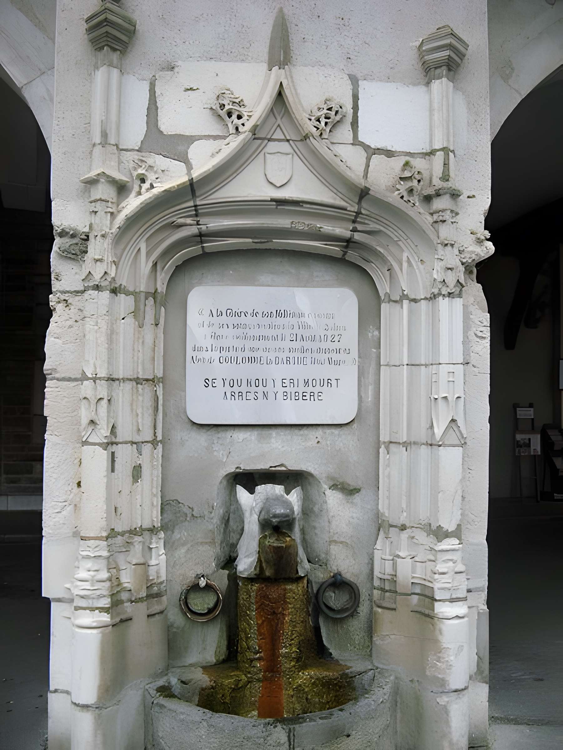 Fontaine commémorative du millénaire de Salies-de-Béarn 