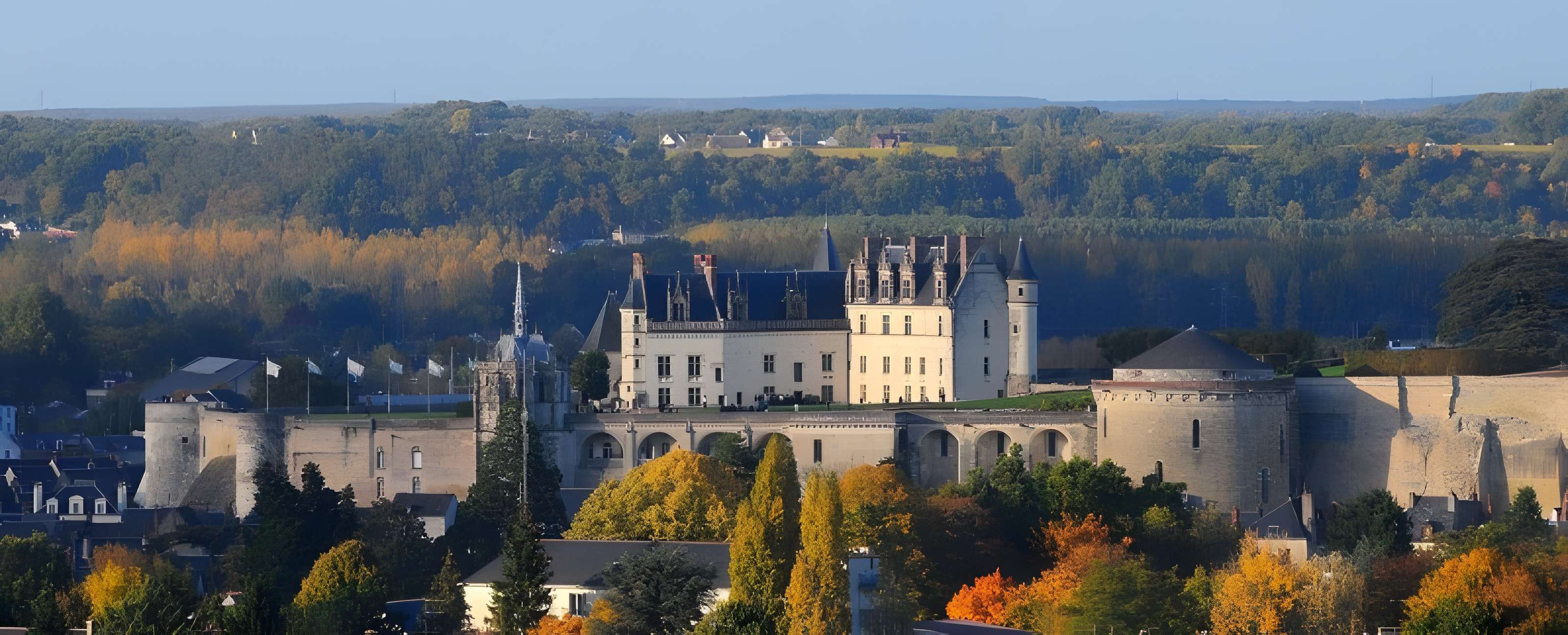 Château Royal d'Amboise 