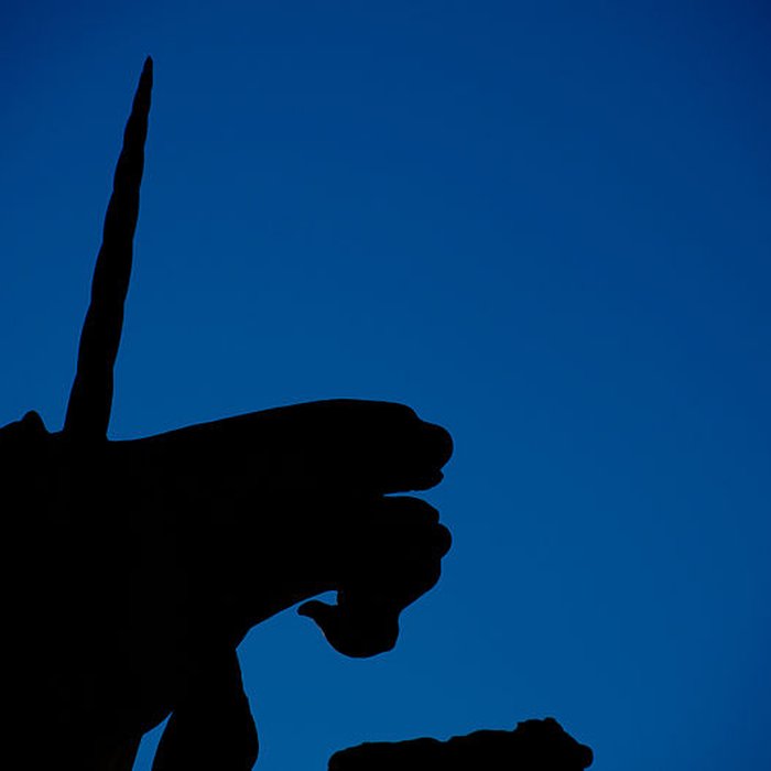 Photo de Fontaine des Licornes de Montpellier