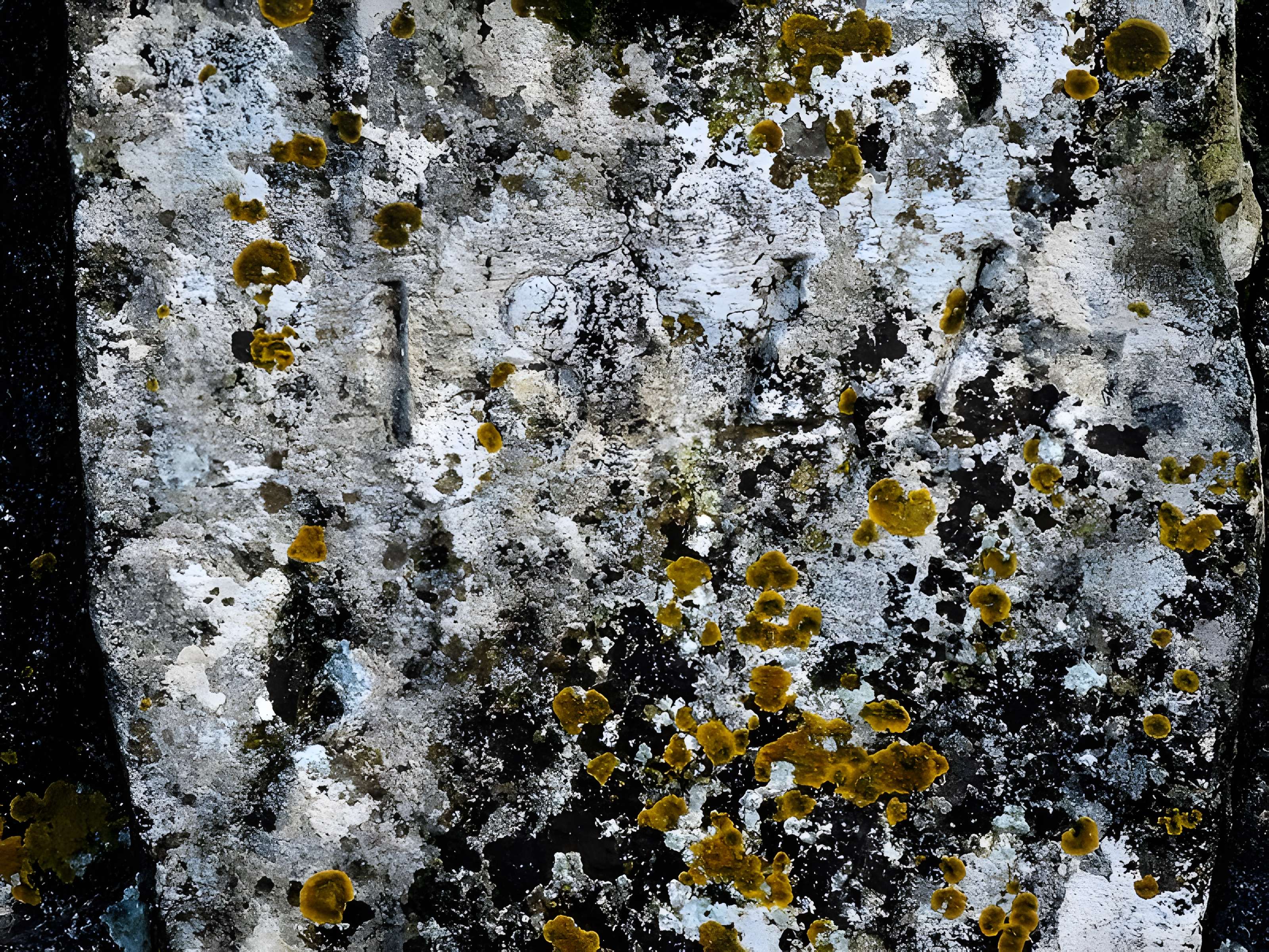 Fontaine Saint-Léger de Montbouton