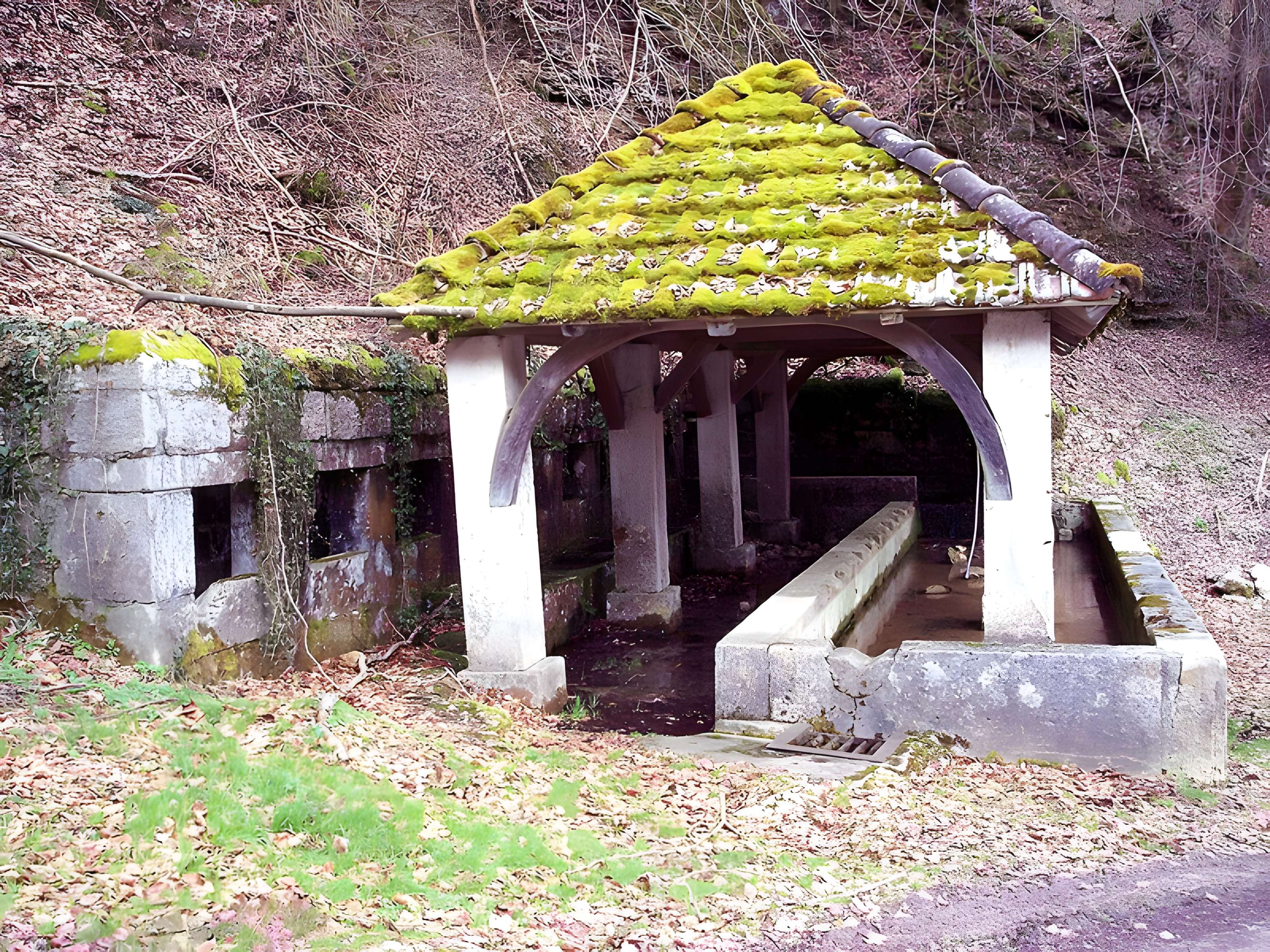 Fontaine-lavoir et abreuvoir de Saint-Dizier-l'Évêque