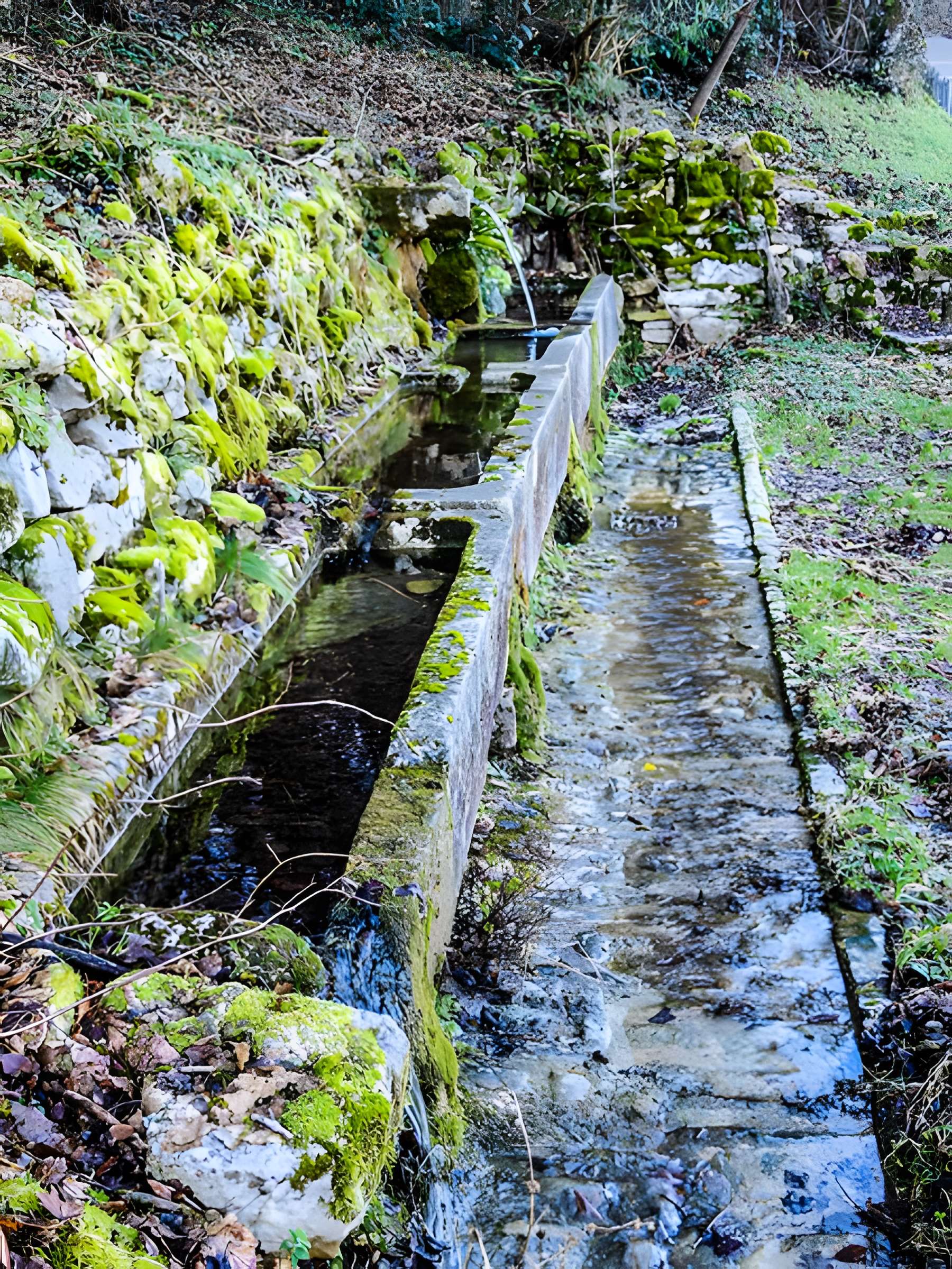 Fontaine-lavoir et abreuvoir de Saint-Dizier-l'Évêque