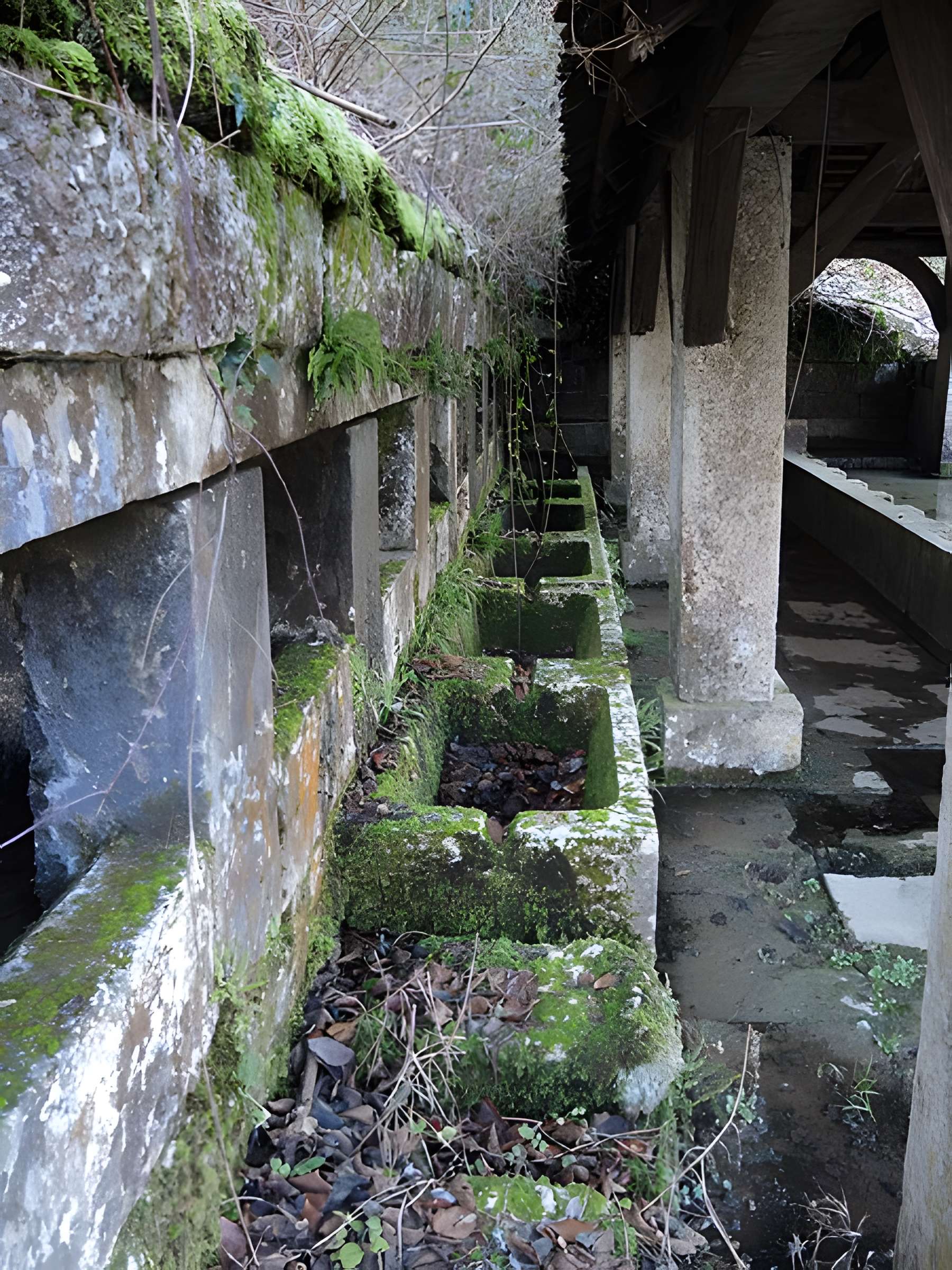 Fontaine-lavoir et abreuvoir de Saint-Dizier-l'Évêque