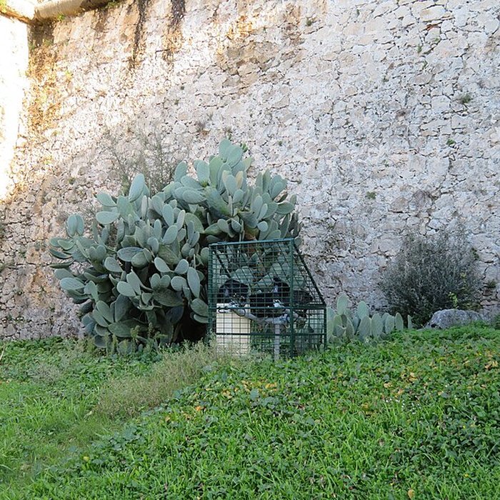 Photo de Fort Carré dAntibes : visite accompagnée