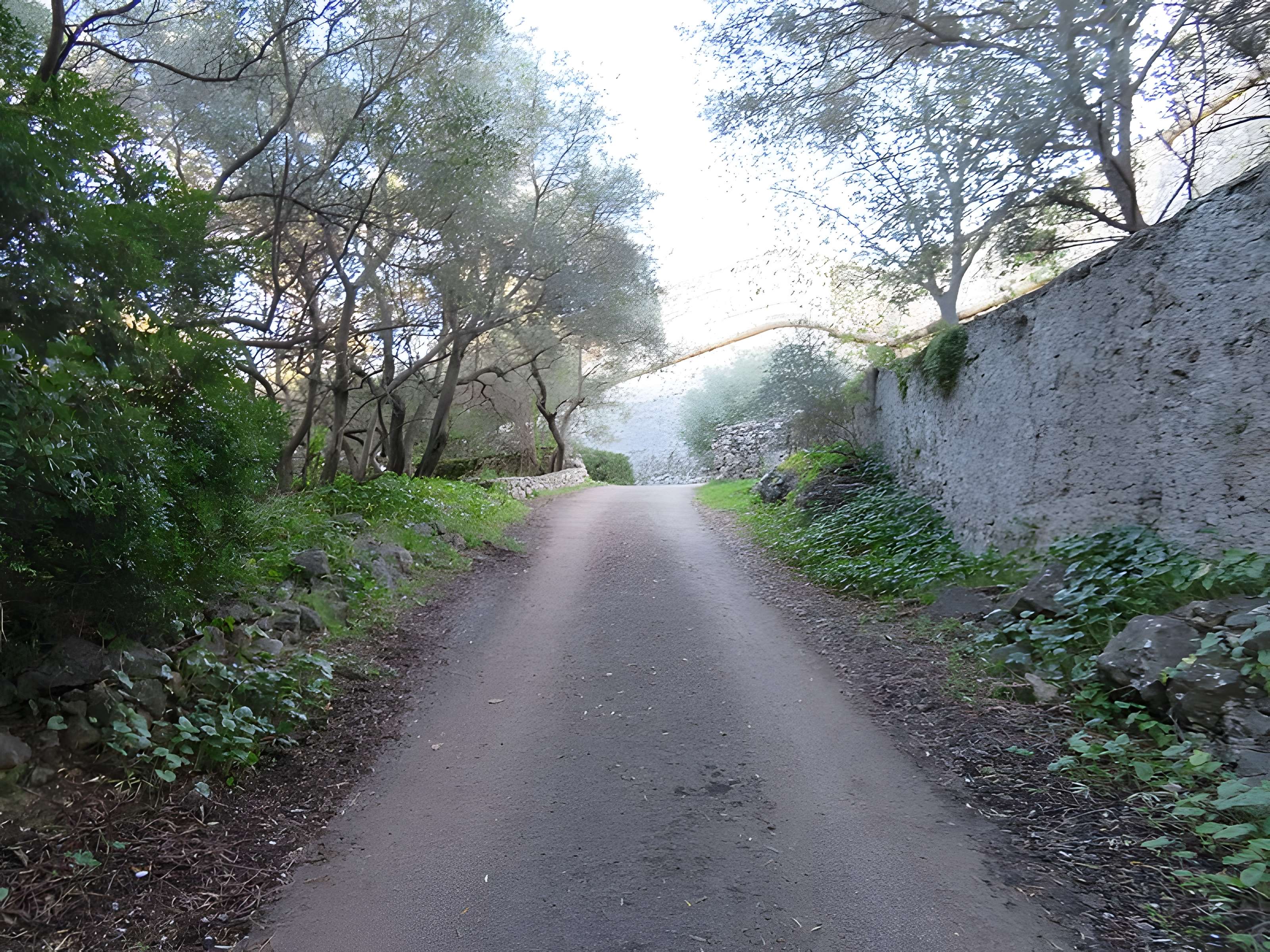 Fort Carré d'Antibes : visite accompagnée