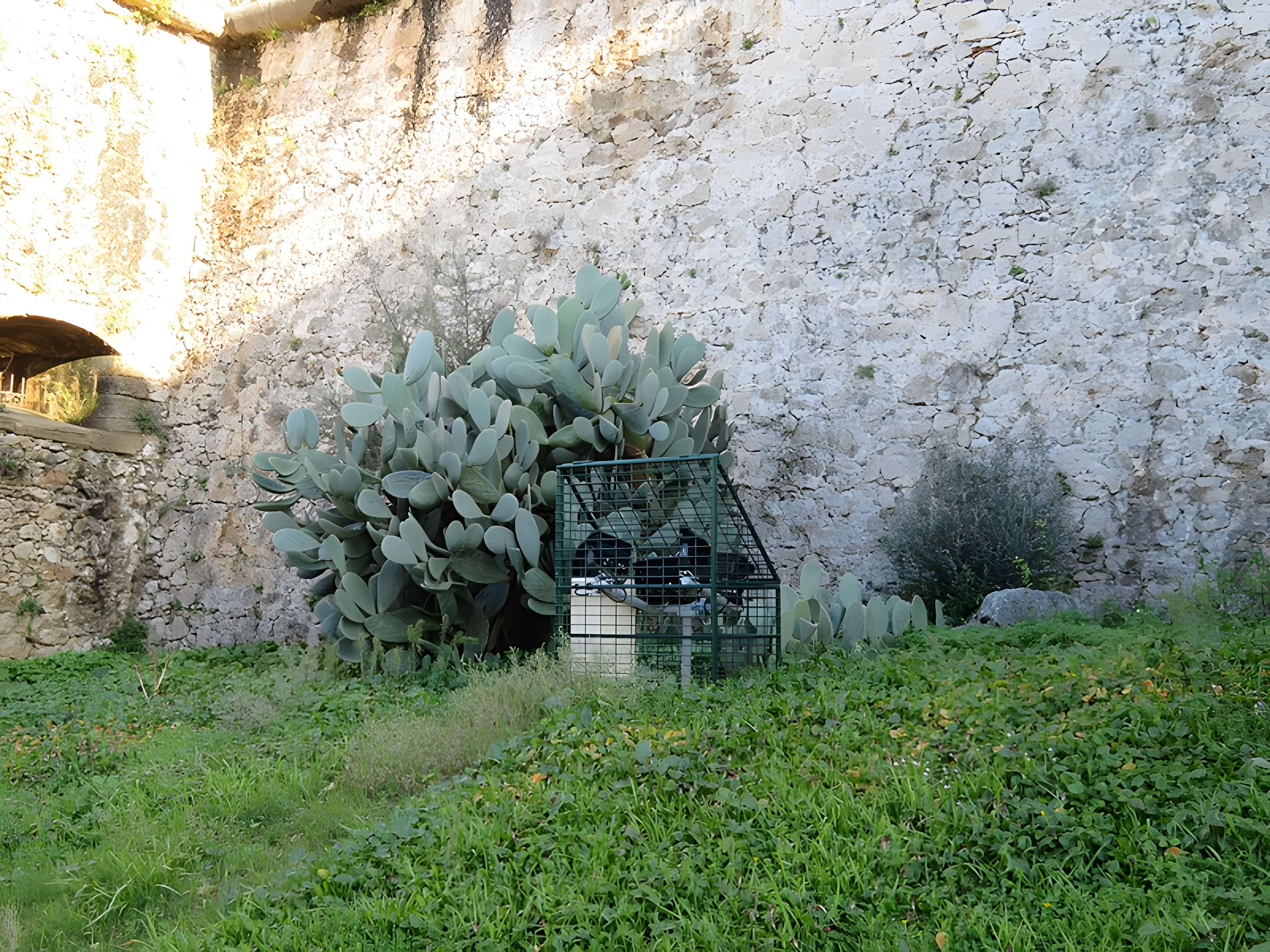 Fort Carré d'Antibes : visite accompagnée