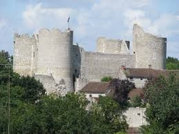 Photo de Forteresse Médiévale d'Yèvre le Chatel
