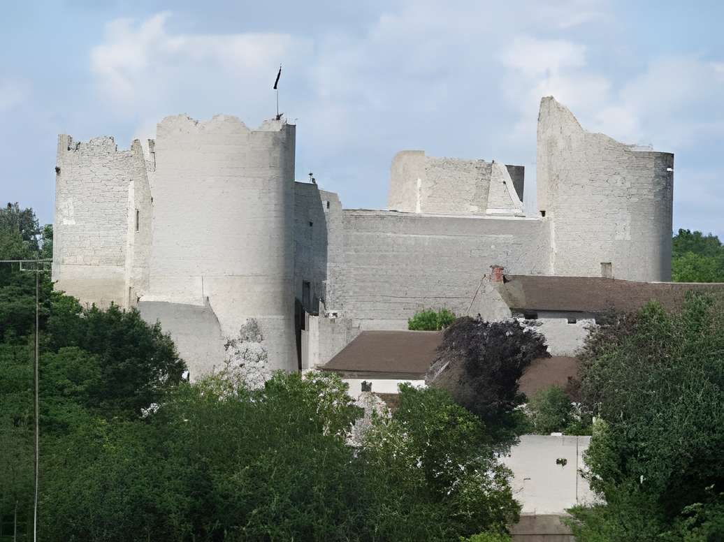Forteresse Médiévale d'Yèvre le Chatel 