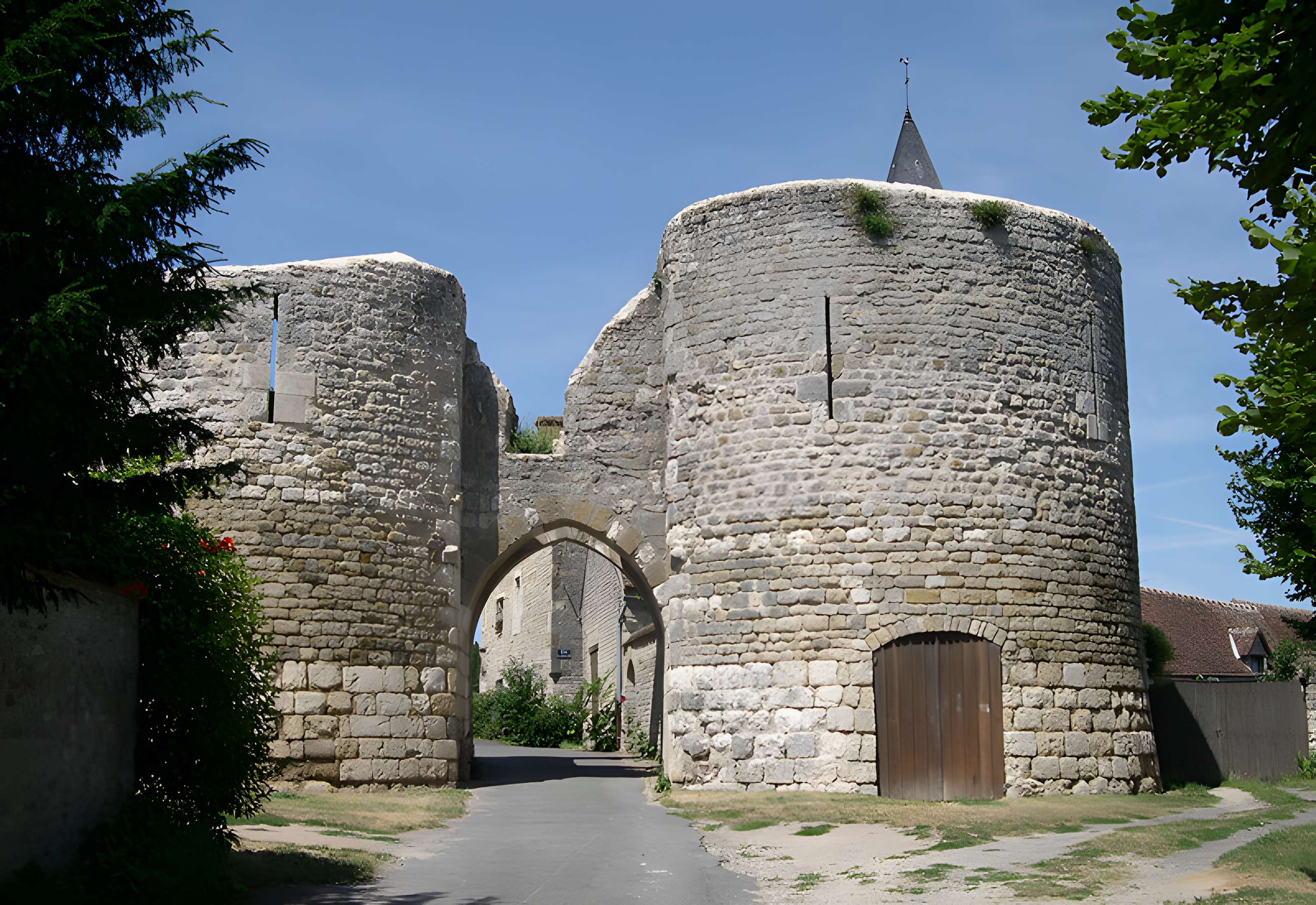 Forteresse Médiévale d'Yèvre le Chatel 