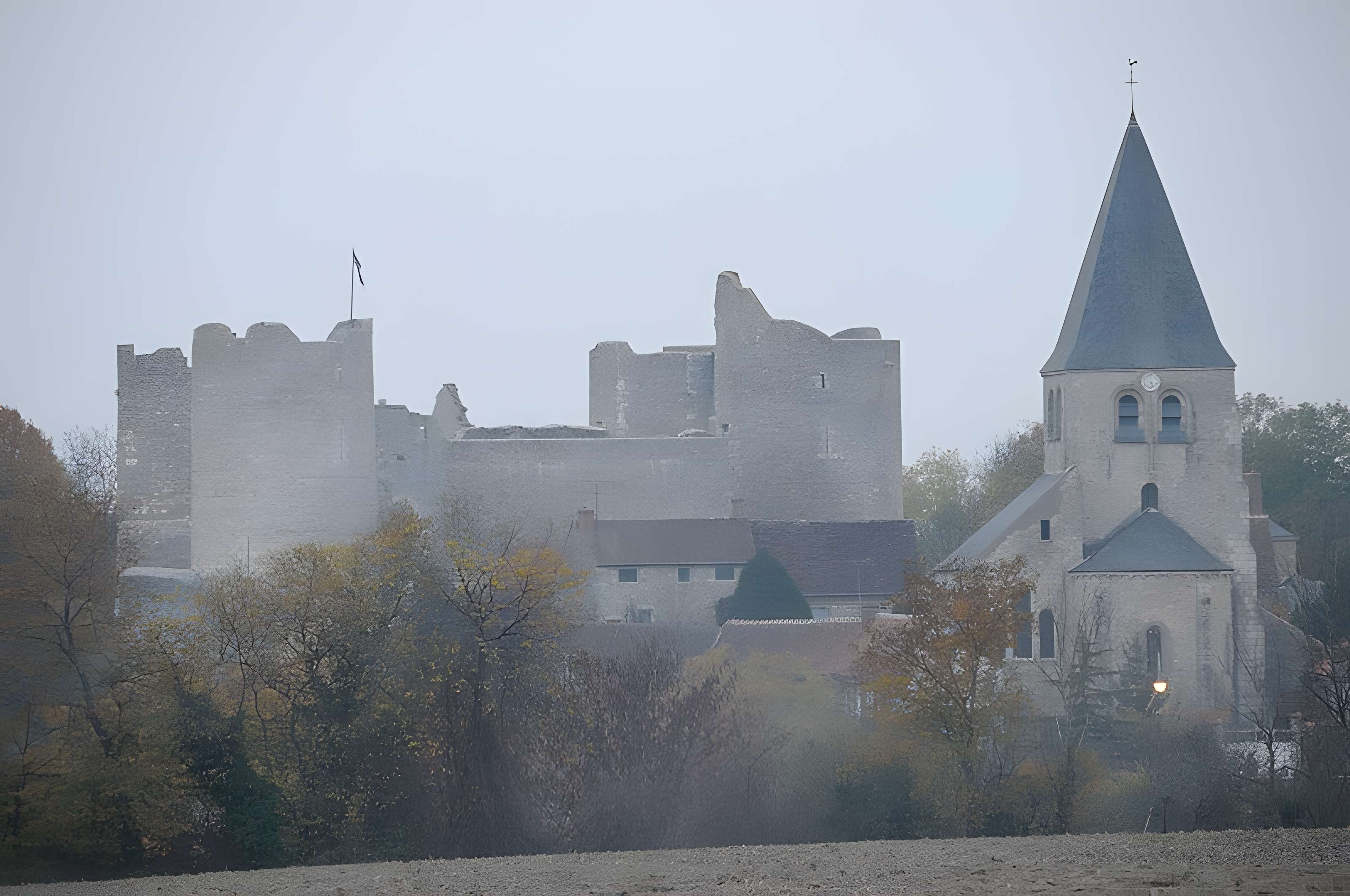 Forteresse Médiévale d'Yèvre le Chatel 