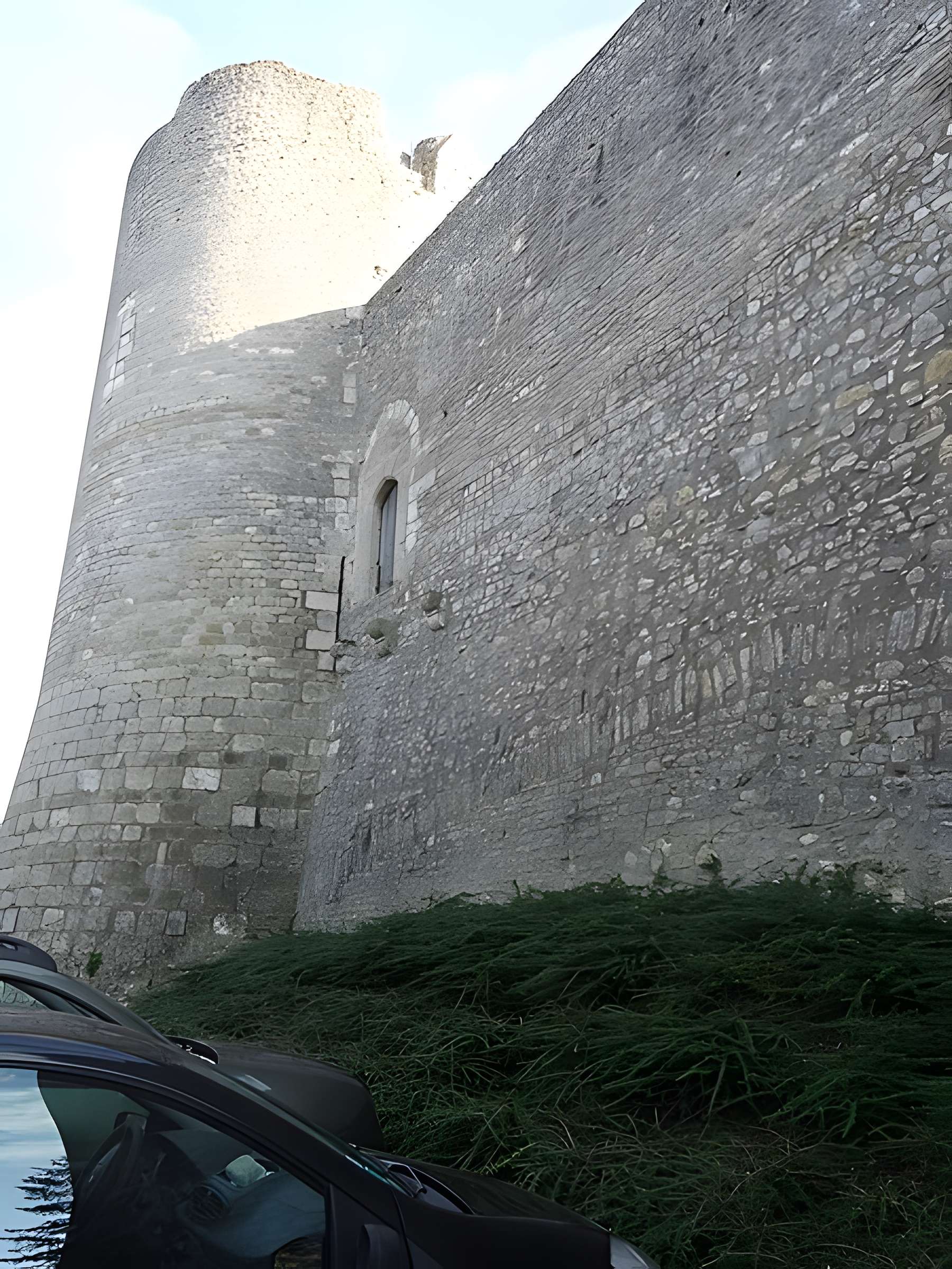 Forteresse Médiévale d'Yèvre le Chatel 