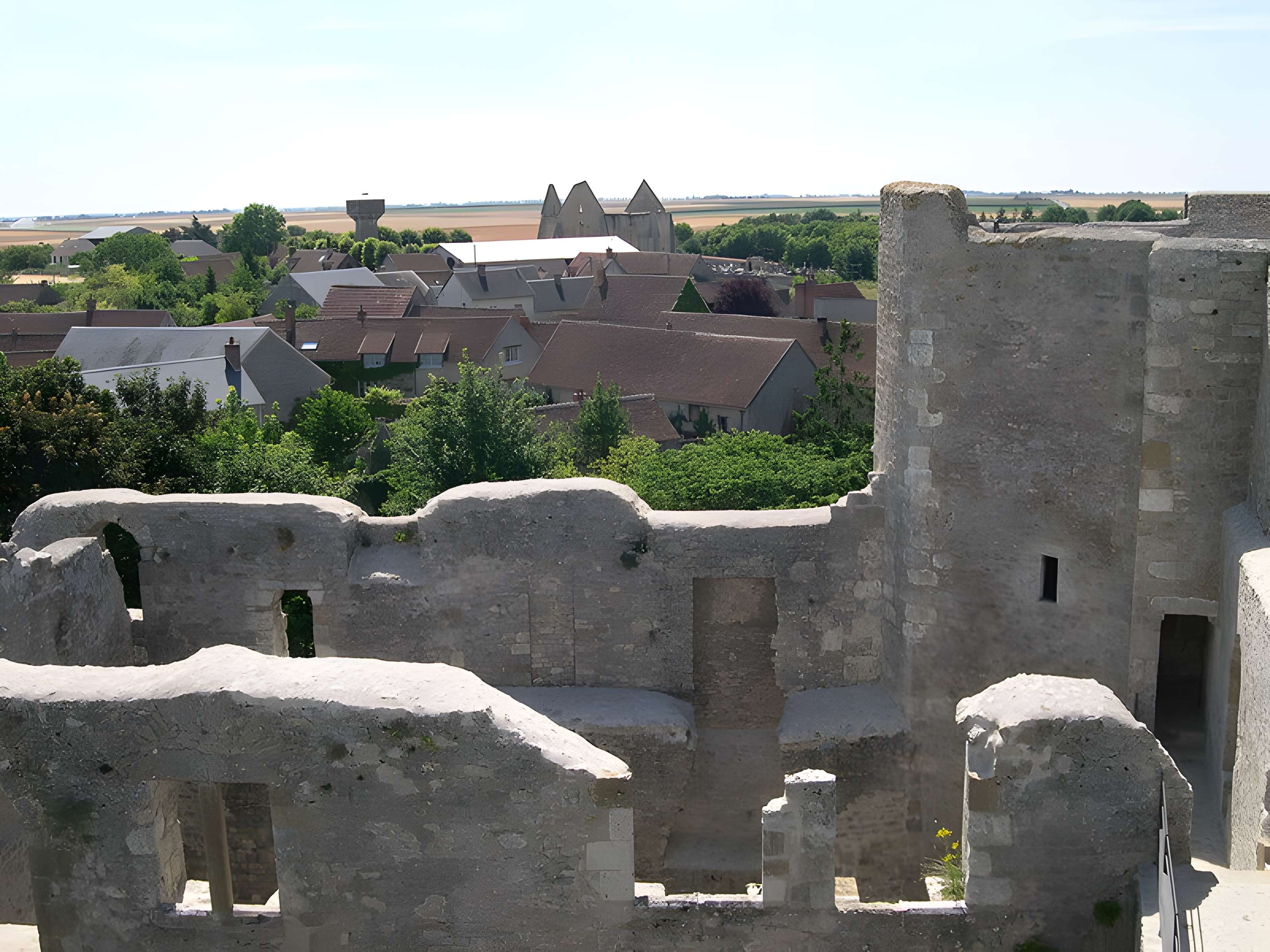 Forteresse Médiévale d'Yèvre le Chatel 