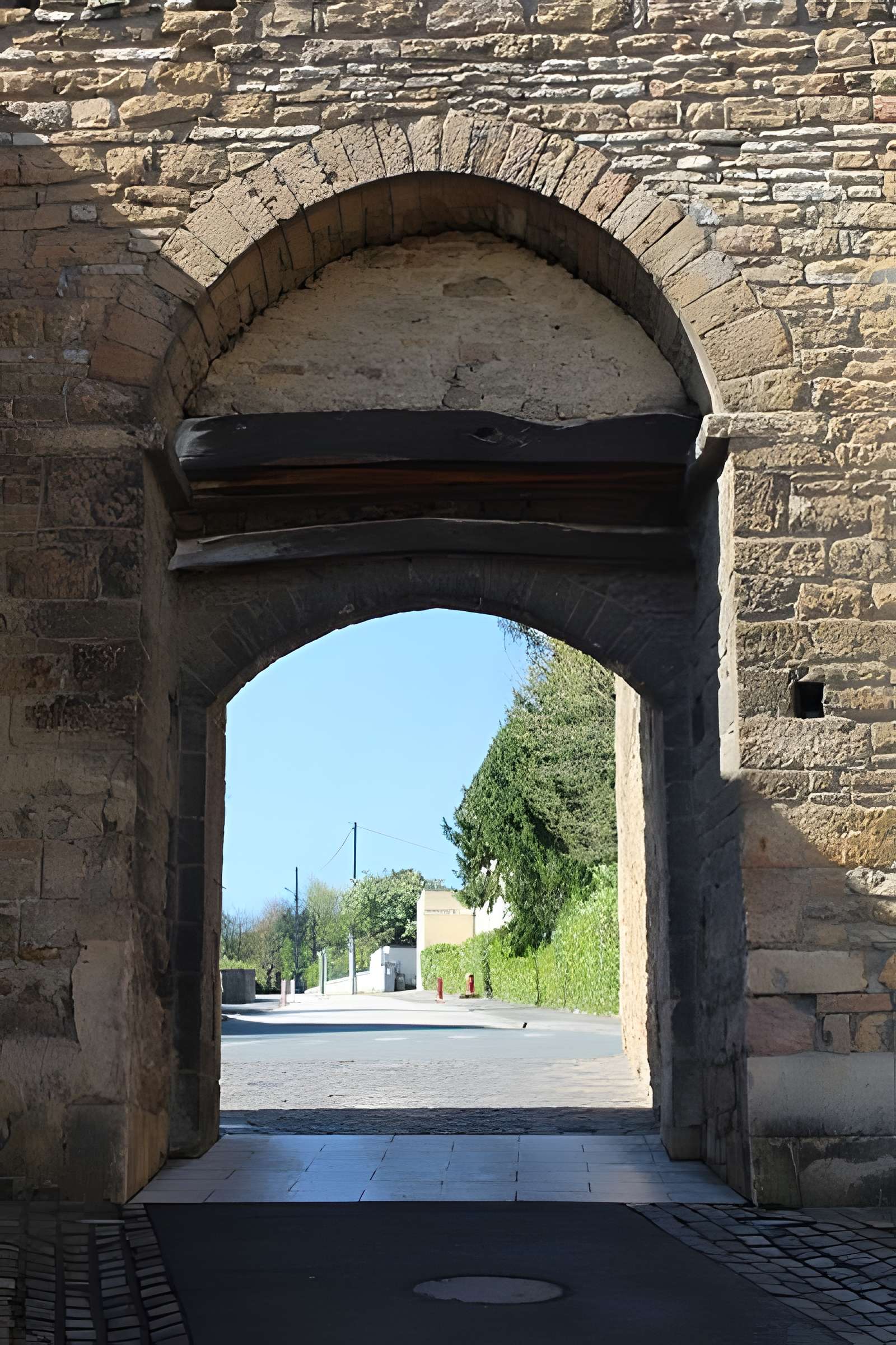 Fortifications de Cluny