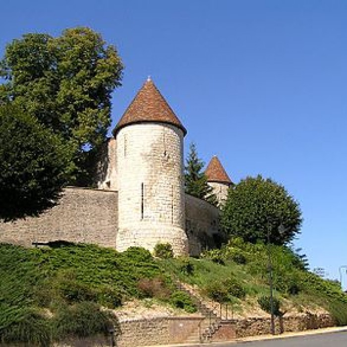 Photo de Fortifications de Dun-sur-Auron