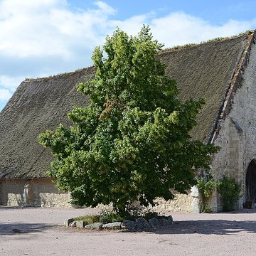 grange dimiere de heurteauville