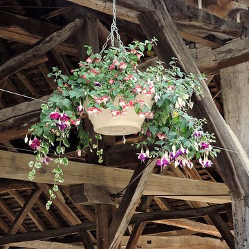 Halle aux grains de Nolay