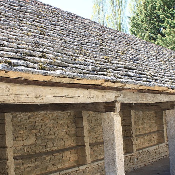 Photo de Halle de Salmaise