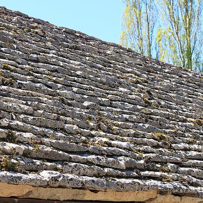 Photo de Halle de Salmaise