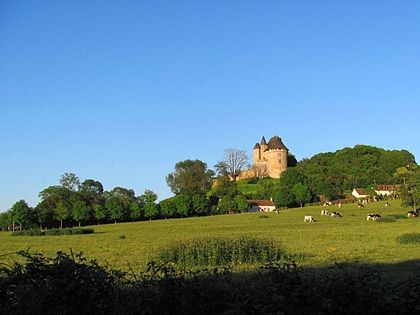 Photo de Château-Donjon de Ballon