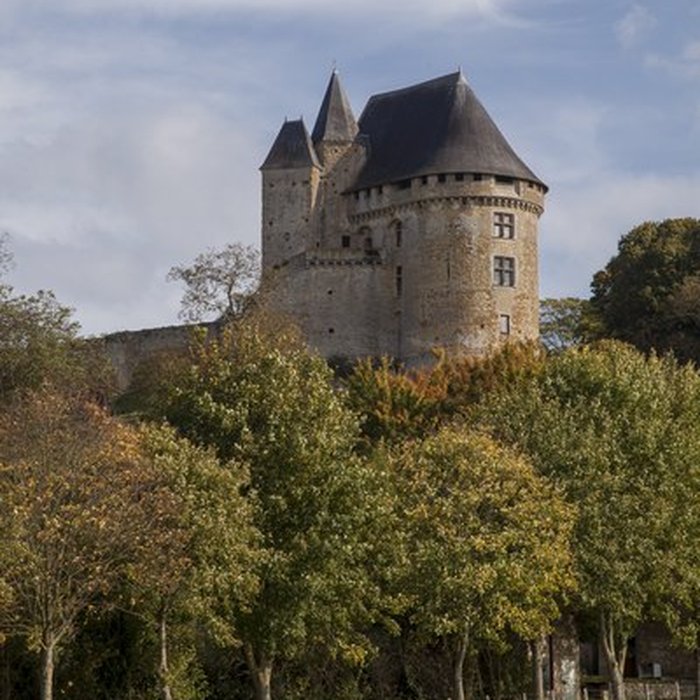 Photo de Château donjon et ruines
