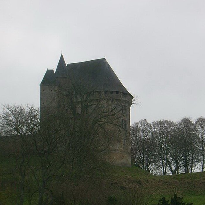 Photo de Château donjon et ruines