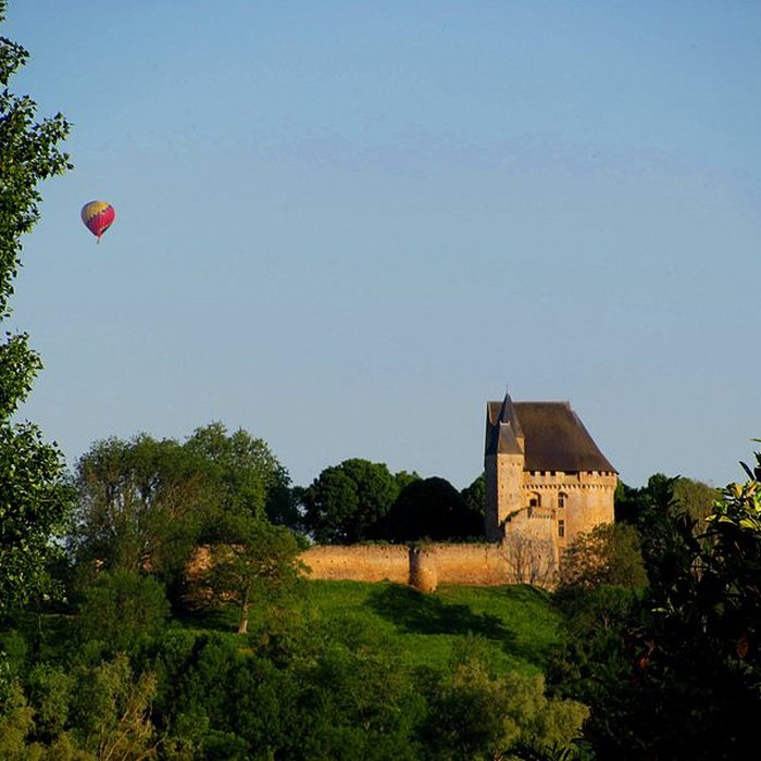 Photo de Château donjon et ruines