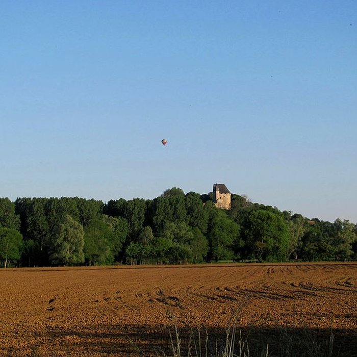 Photo de Château donjon et ruines