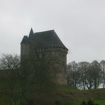 Château donjon et ruines