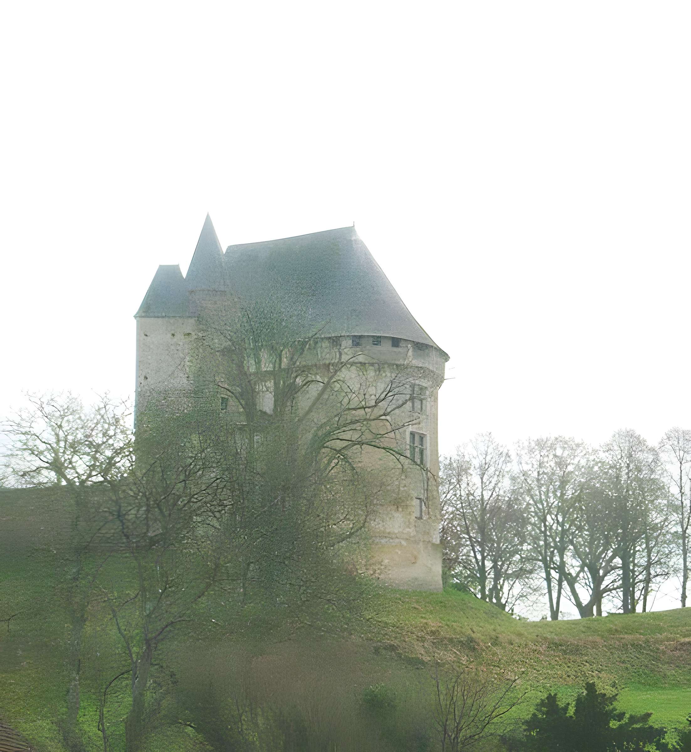 Château (donjon et ruines)