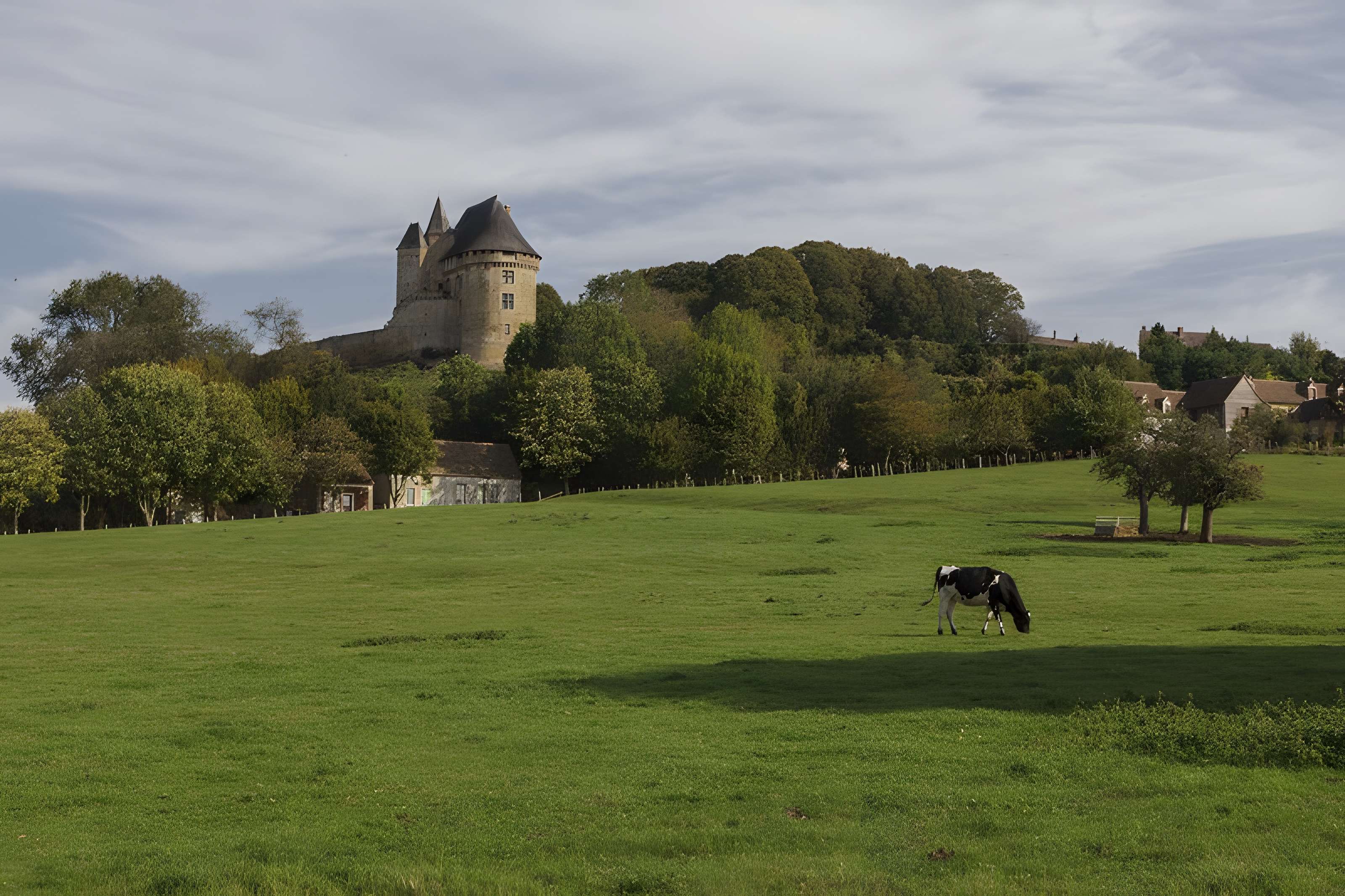 Château (donjon et ruines)