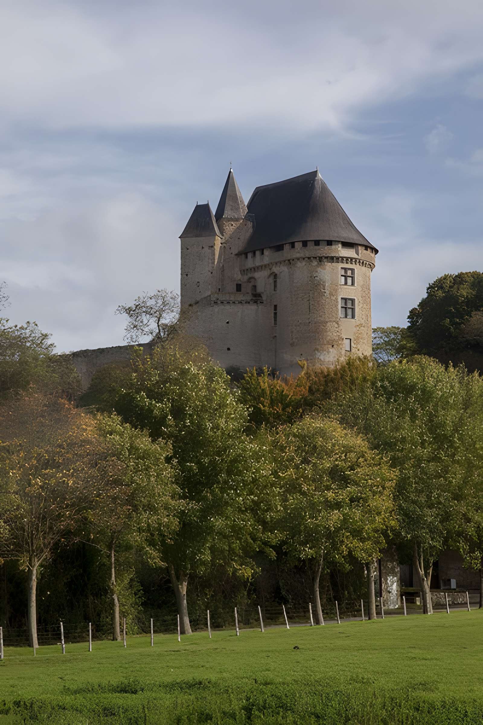 Château (donjon et ruines)