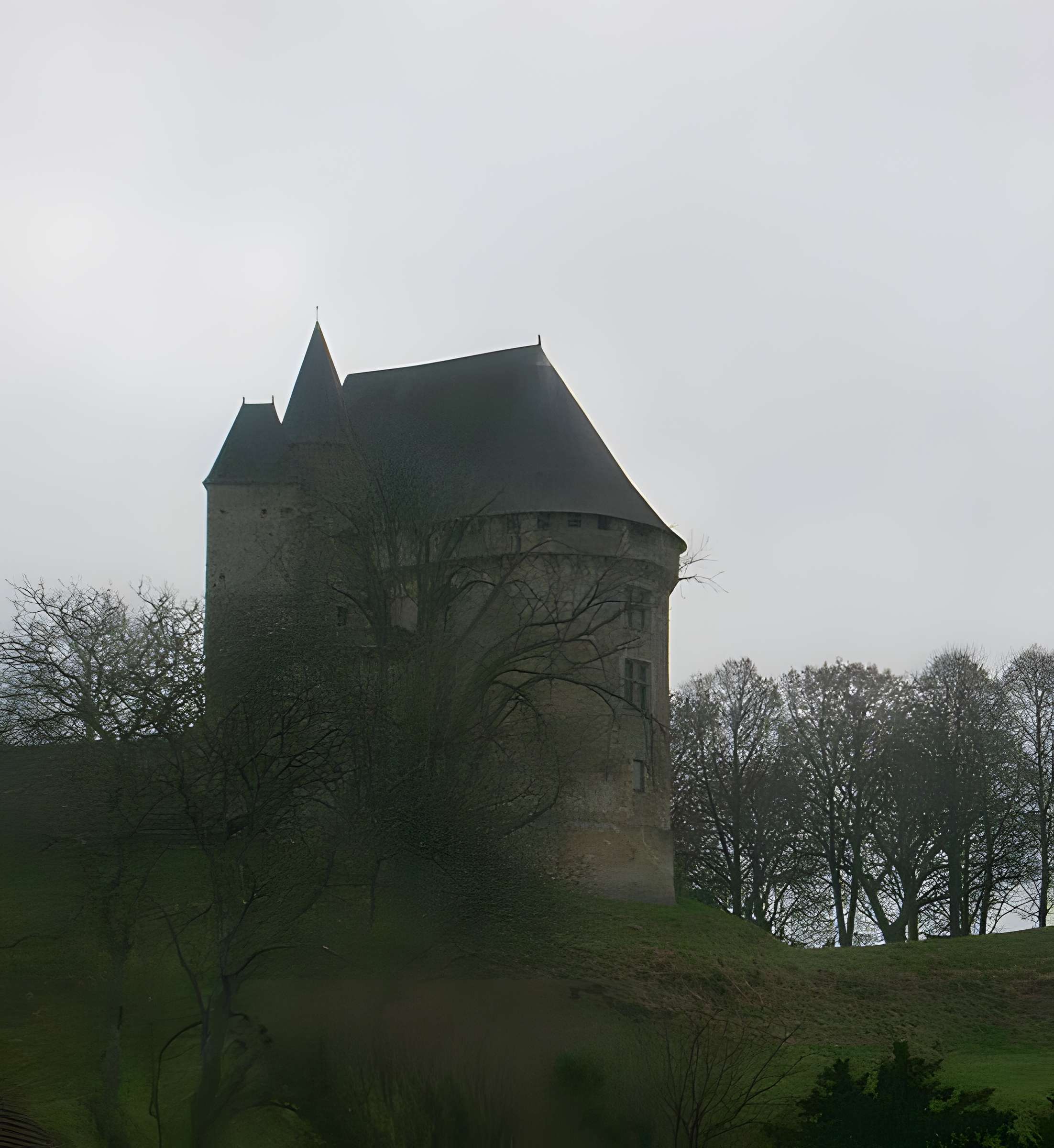 Château (donjon et ruines)