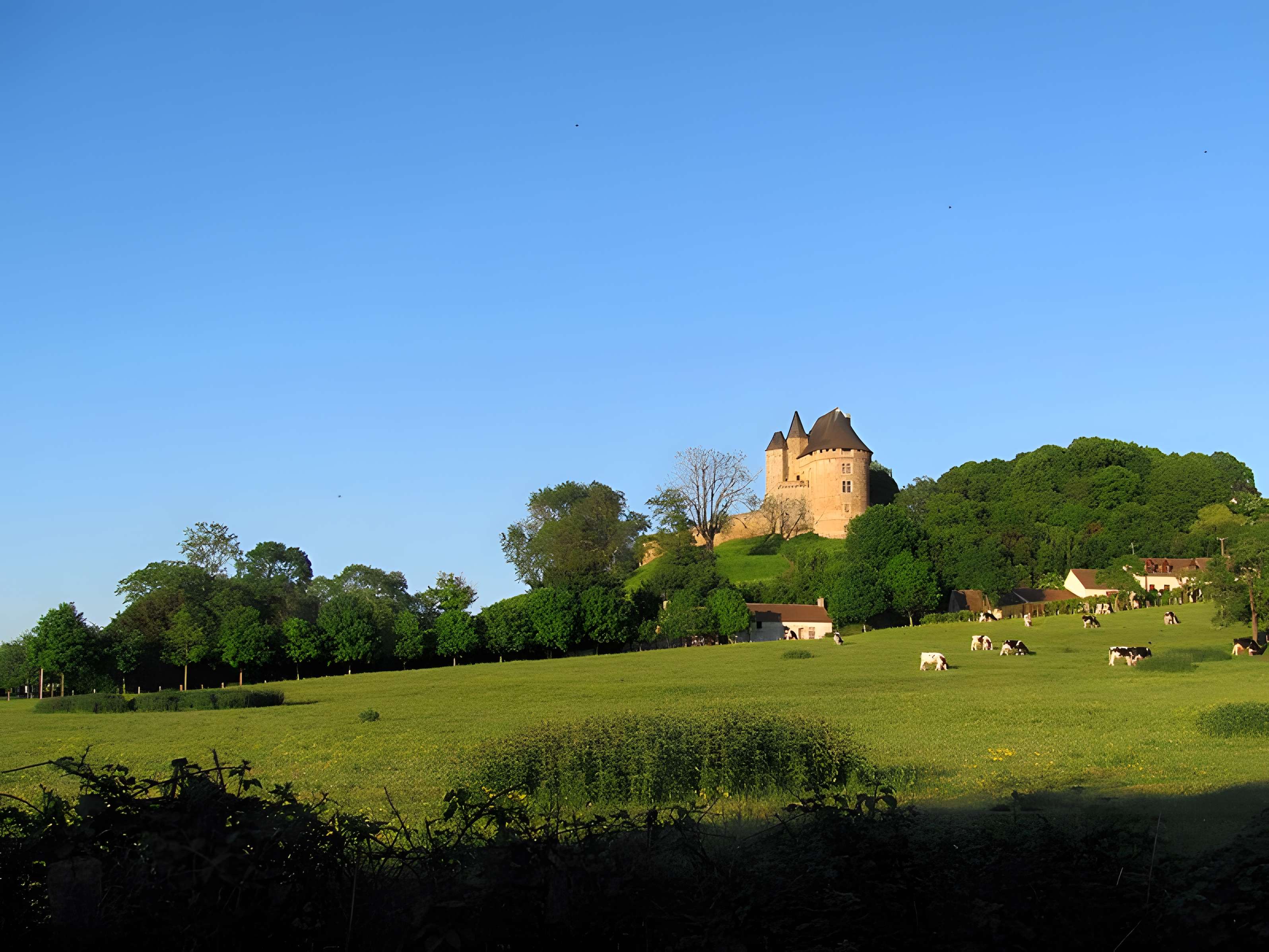 Château (donjon et ruines)