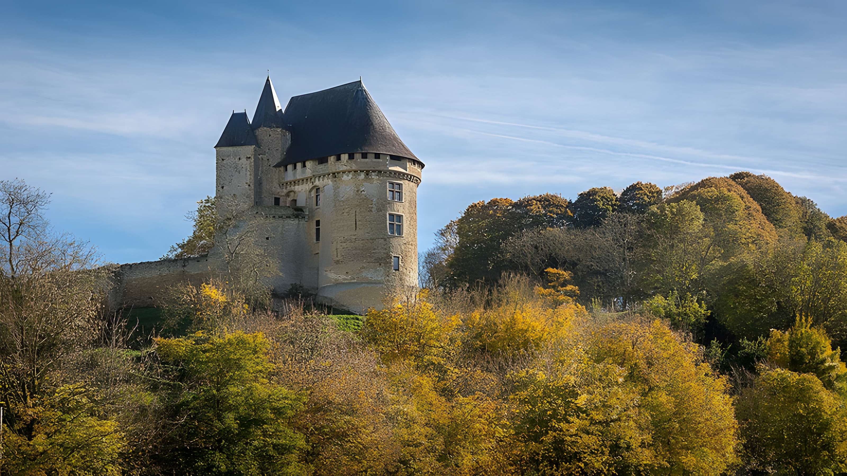 Château (donjon et ruines)