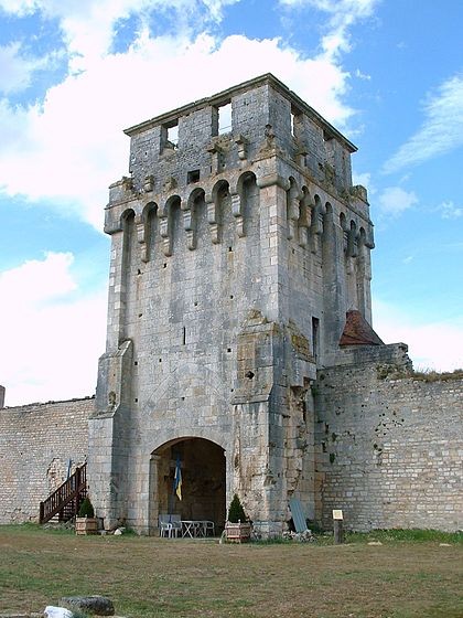 Photo de Château-fort de Druyes