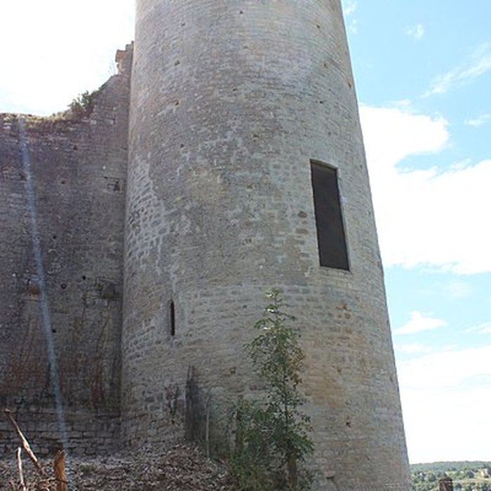Photo de Château-fort de Druyes
