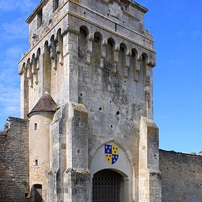 Photo de Château-fort de Druyes