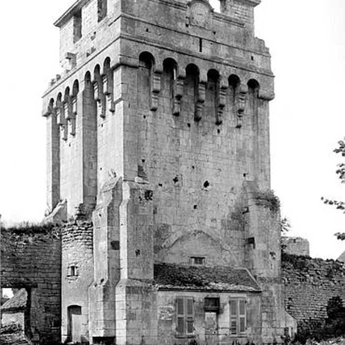 Photo de Château-fort de Druyes