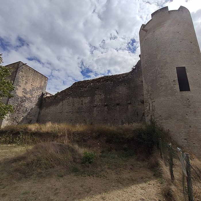 Photo de Château-fort de Druyes