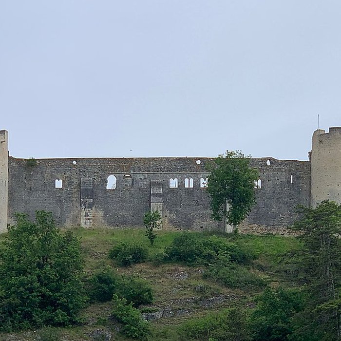 Photo de Château-fort de Druyes