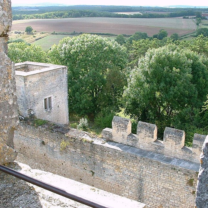 Photo de Château-fort de Druyes