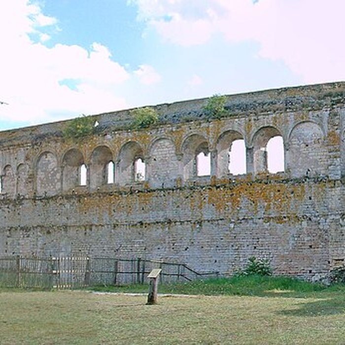 Photo de Château-fort de Druyes