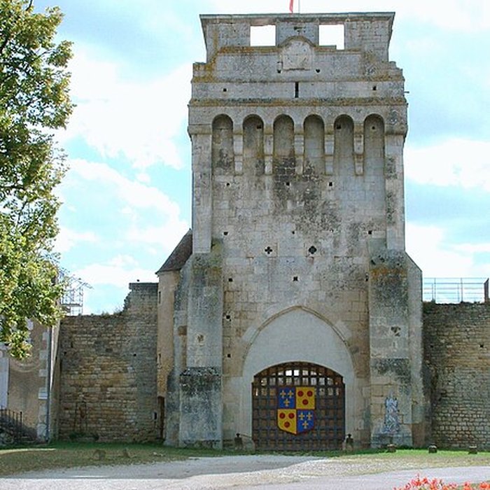 Photo de Château-fort de Druyes