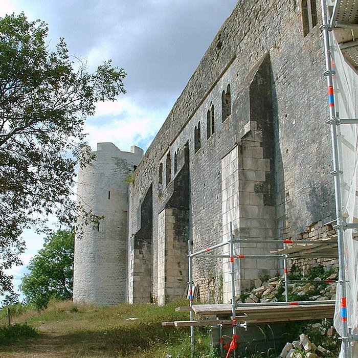 Photo de Château-fort de Druyes
