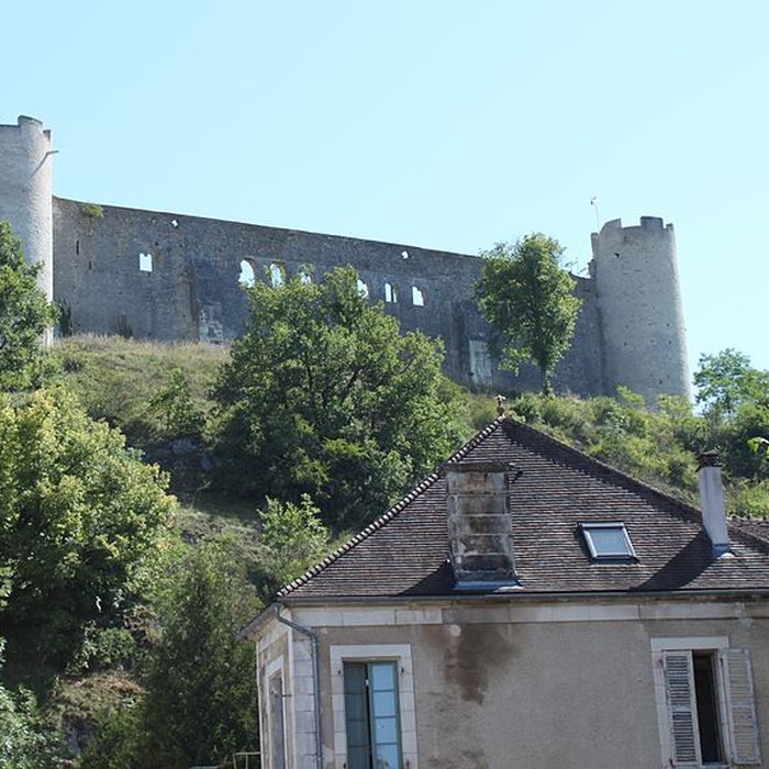 Photo de Château-fort de Druyes