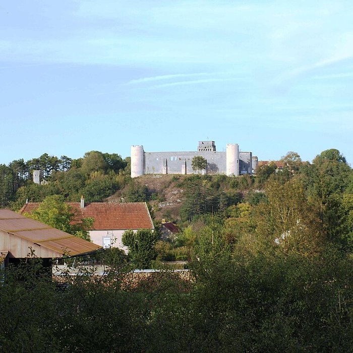 Photo de Château-fort de Druyes